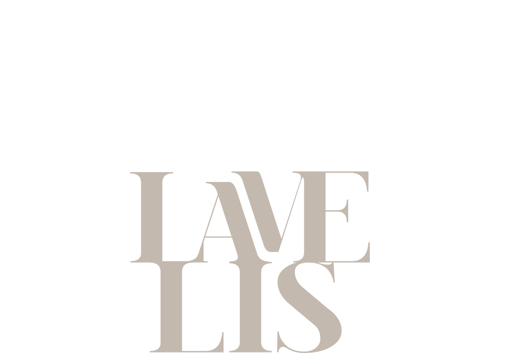 Lavelis ingeniería comercial relacional